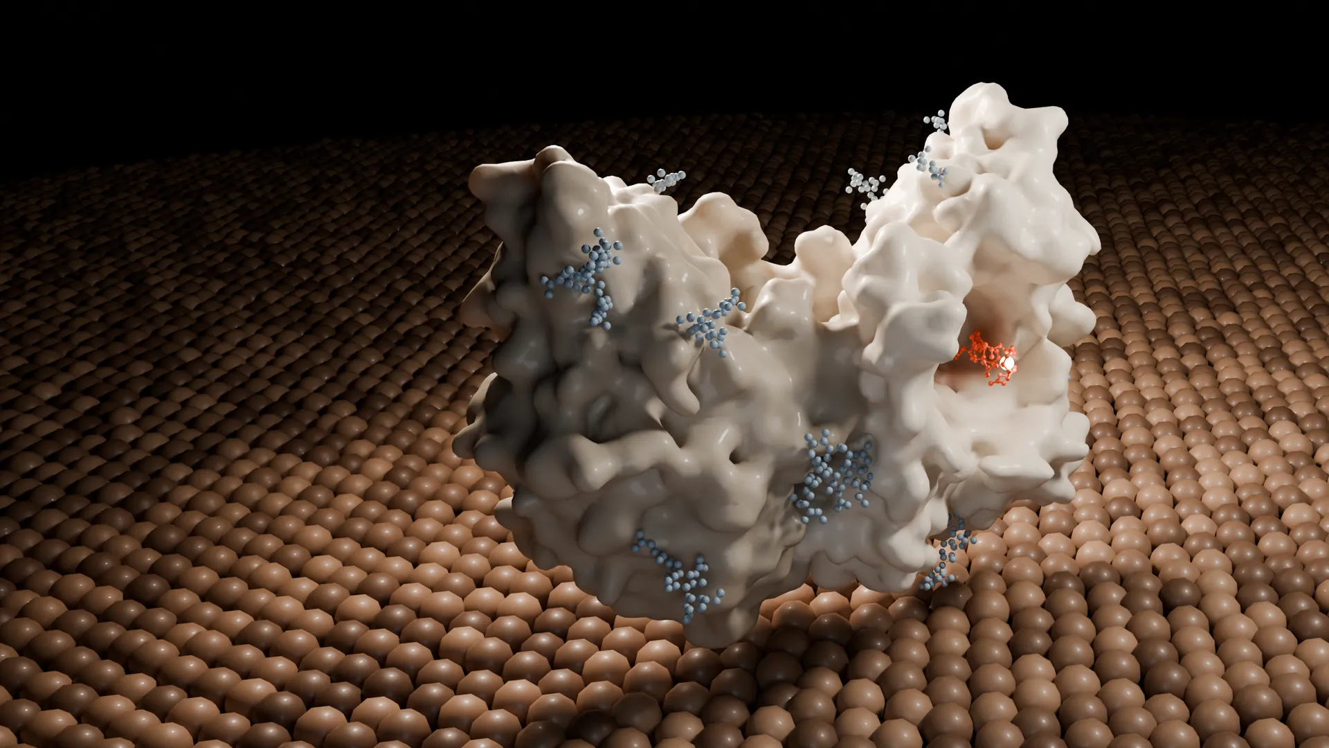 PSMA dimer (PDB 8BOW) with PSMA-617 bound, on a schematic cell membrane